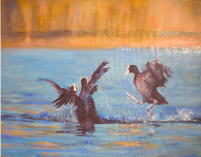 huile oiseaux