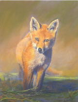 dessin au pastel renard
