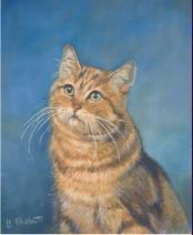 dessin au pastel chat 
