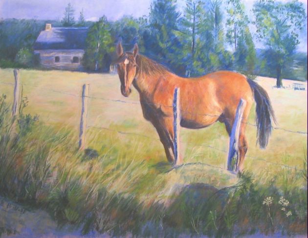 cheval dans le pr au pastel
