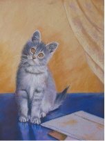 dessin au pastel chton