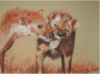 dessin au pastel hyenes