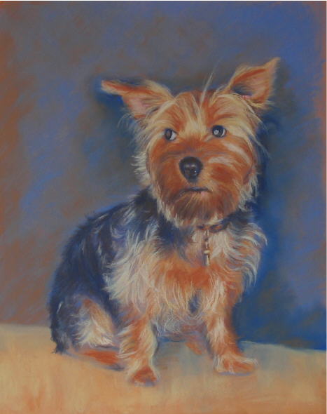 dessin chien pastel