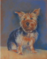 dessin au pastel chien