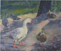 huile oie et canards