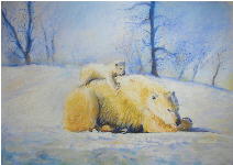 dessin au pastel ours polaire