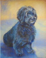 dessin au pastel chien