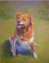 dessin au pastel chien