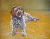 dessin au pastel chien