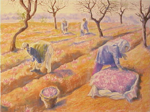 dessin au pastel